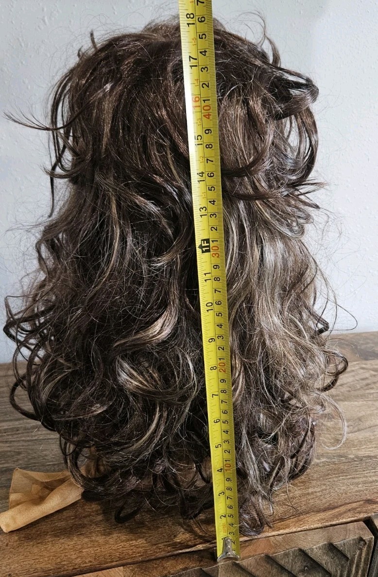 Long Layered Wig Synthetic Brown Bold Blonde Highlights Shag Siudus Heat Resist
