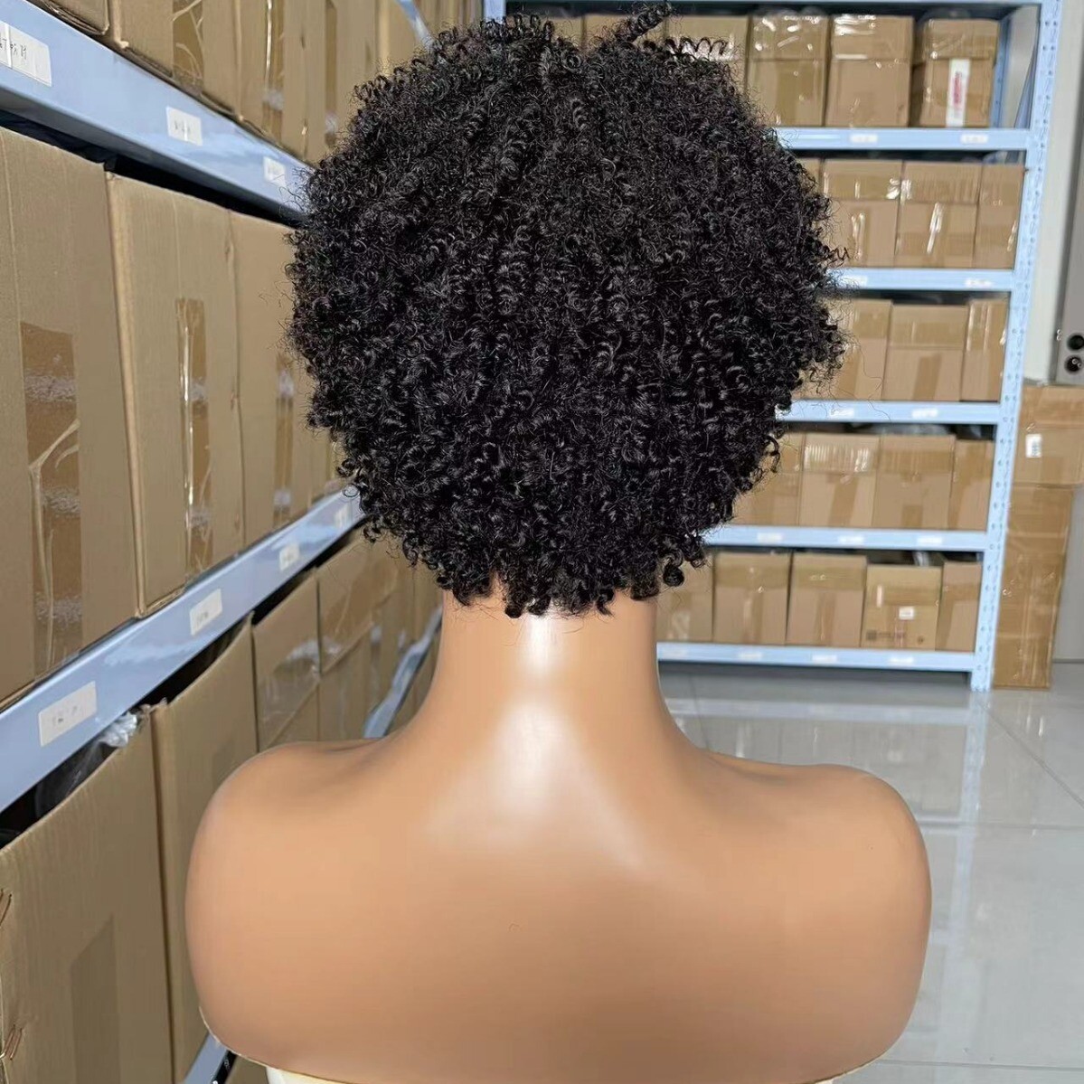 Human Hair Afro Kinky Curly Wig No Lace 100% Human Hair Wigs For Women