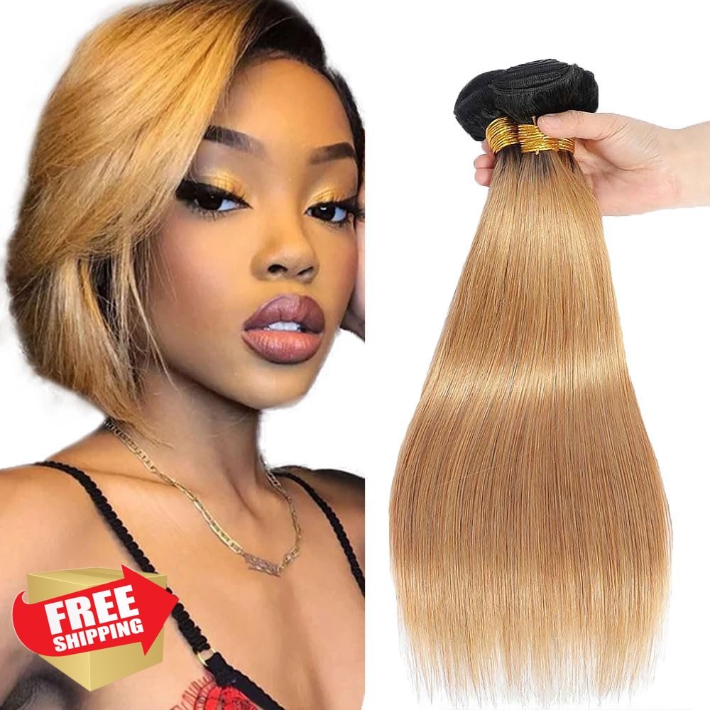 Raivide 1B27 Ombre Straight Bundles 20-24 Inch 300G