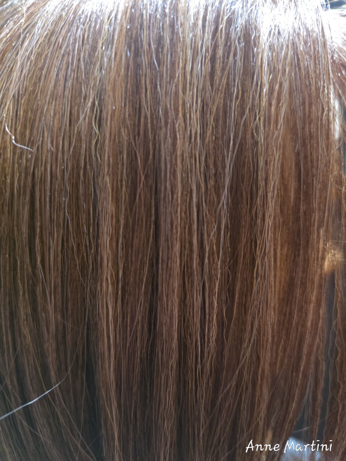 Women’s Lace Front Synthetic Straight Bob Wig Free-Part Medium Brown 11-20in