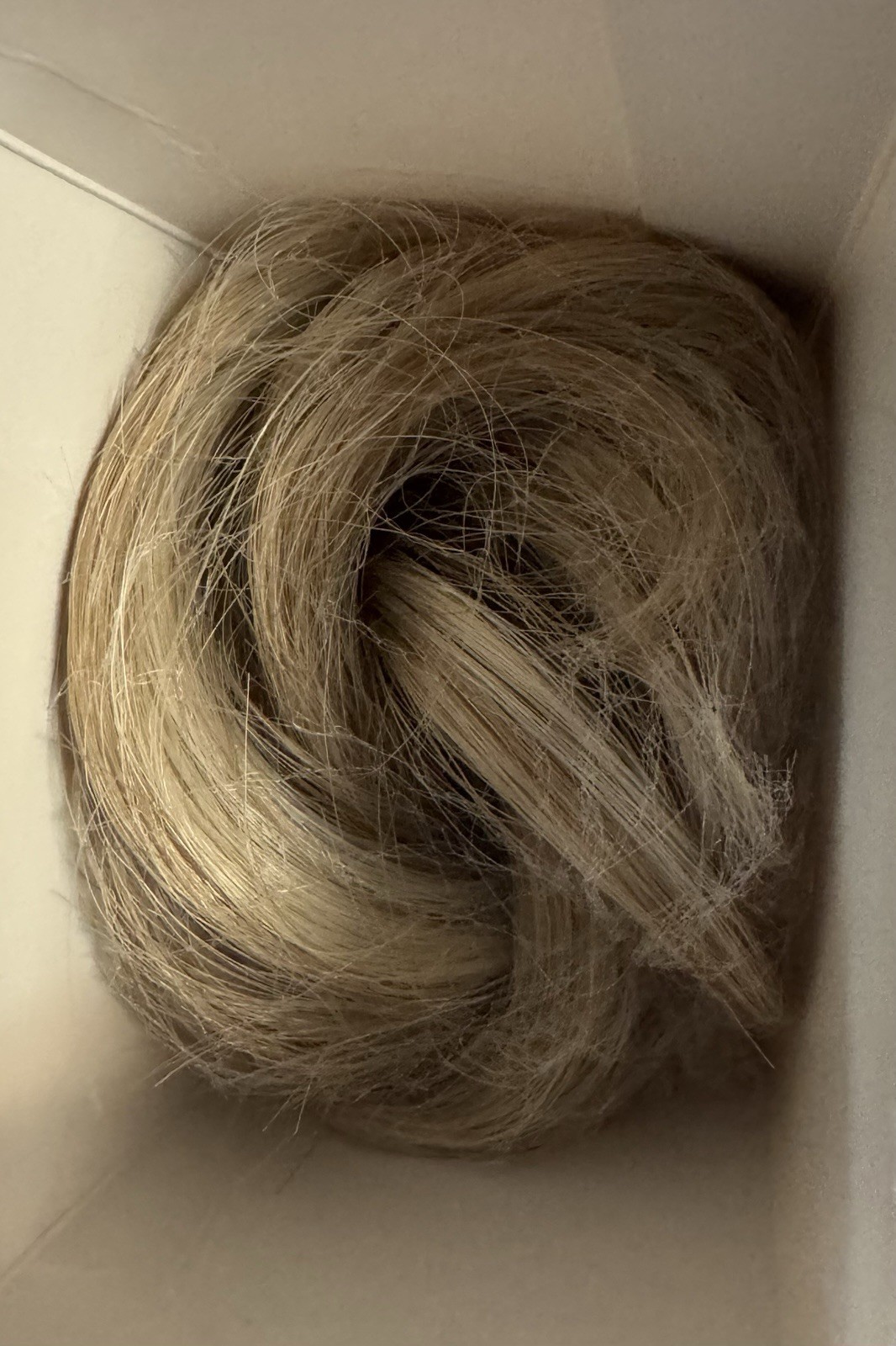 CJL HAIR Claw Clip Short Ponytail Hair Extensions, Synthetic Hair Sunny Blonde