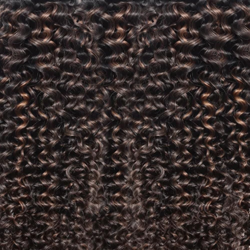 Ombre Bundles P1B30 Kinky Curly Human Hair Bundle 1B30 Highlight Brown Curly …