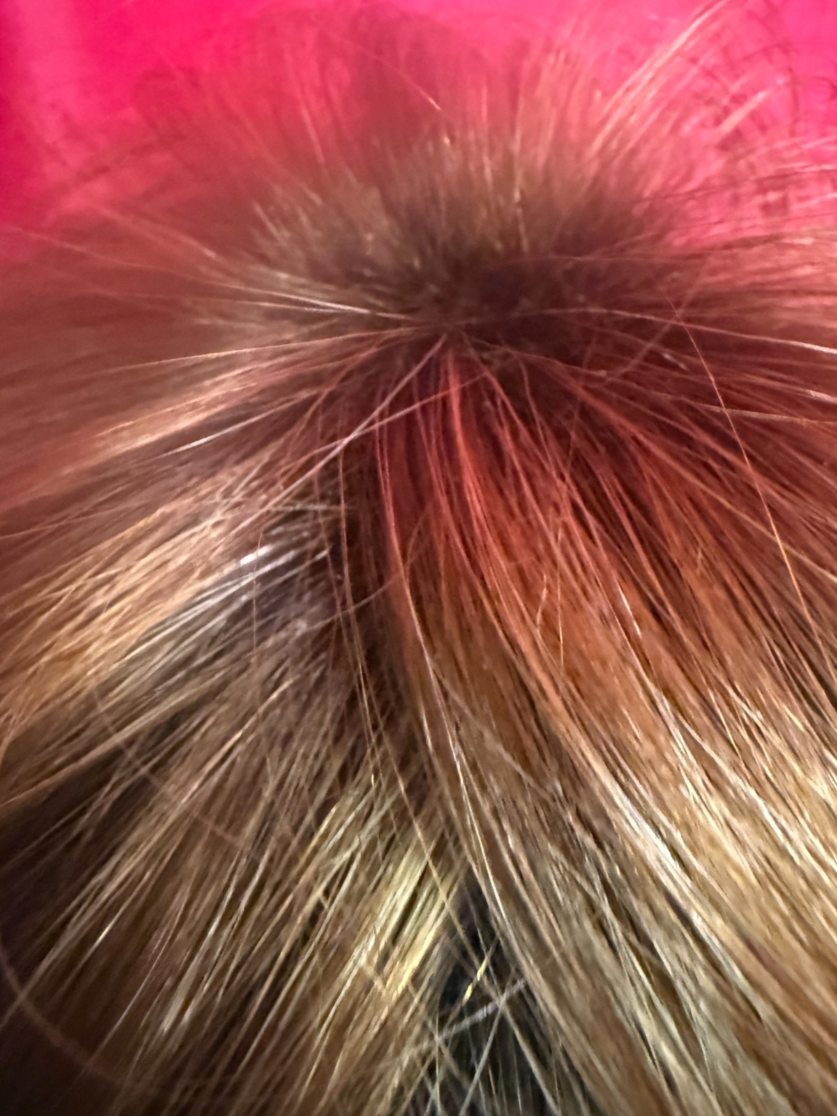 Godiva’s Secret Wigs “Trixie Wig” Copper Glaze Rooted