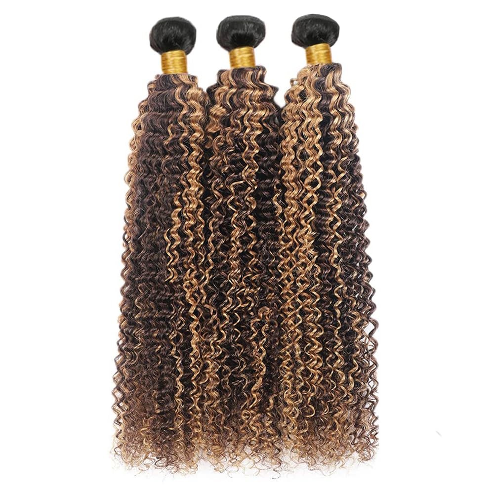 Loiumguu Ombre Highlight Brown Mixed Honey Blonde Human Hair Kinky Curly