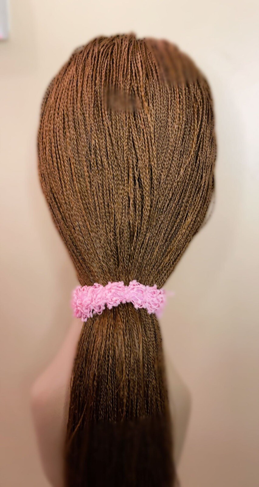 Micro Braids (million Braids)