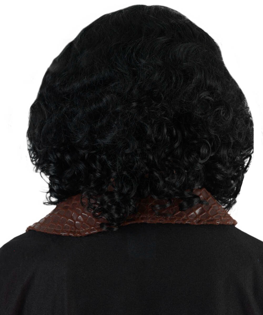 Adult Men’s Renaissance Artist Wig and Mustache, A-01-009-001