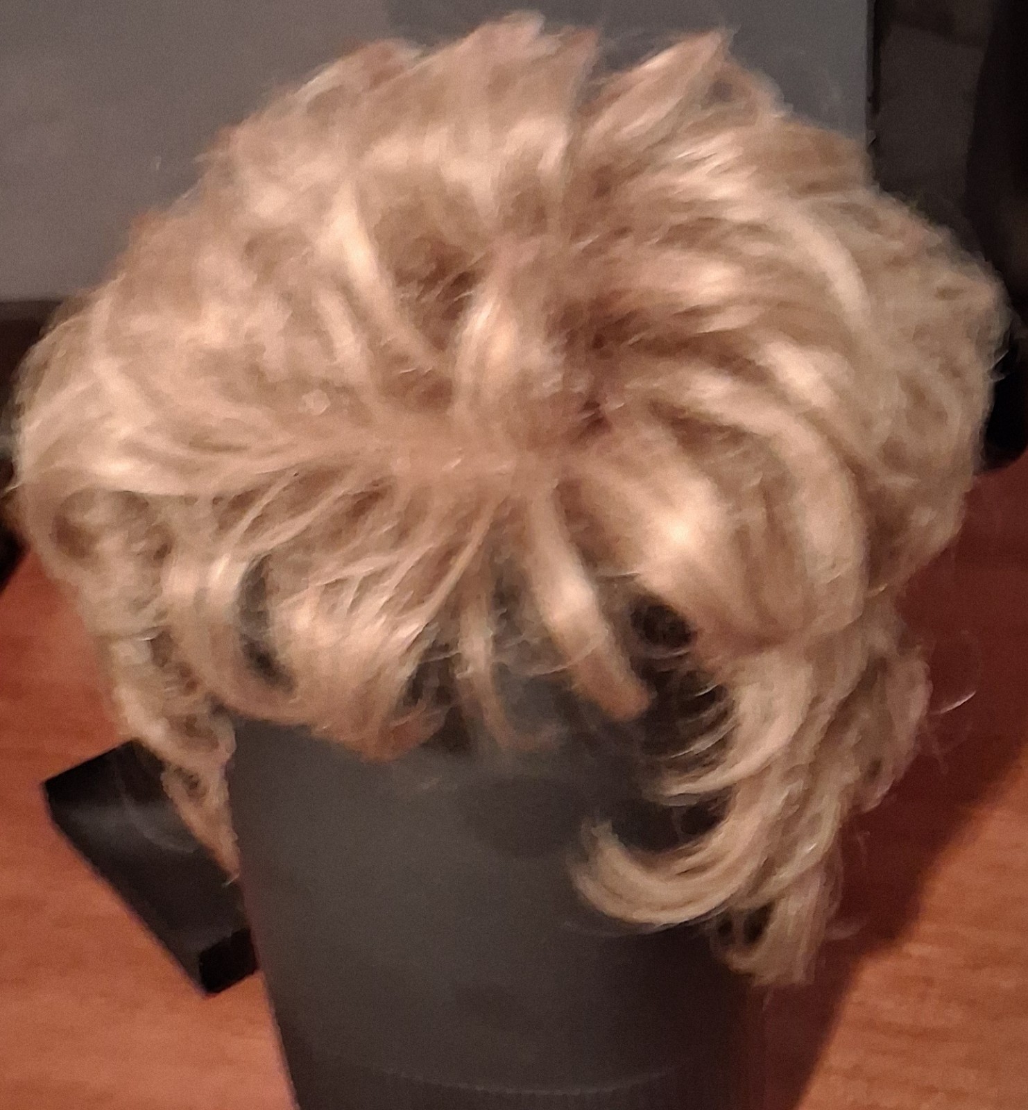 Rene Of Paris ~ Women’s Wig ~ Creamy Toffee ~ Synthetic Hair Pre-Owned