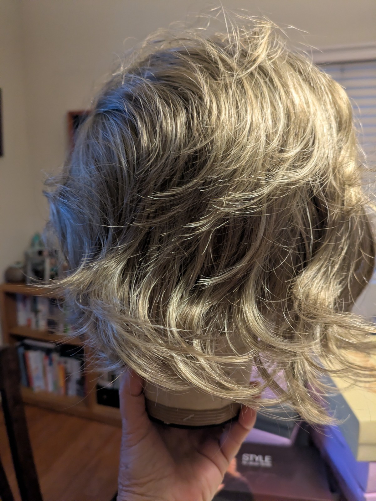 Paula Young Lace Front Hand tied Momo Part Hanson Wig In Warm Toffee Size Avg
