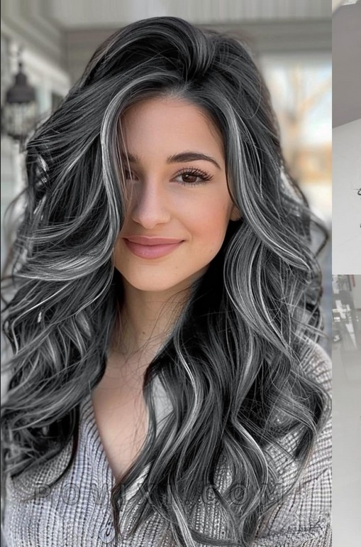 Salt and Pepper Highlight Wavy 100% Human Hair Wigs Lace Front for Women Daily