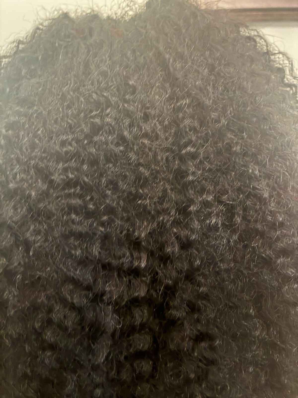 Afro kinky Lace Front wId 20”