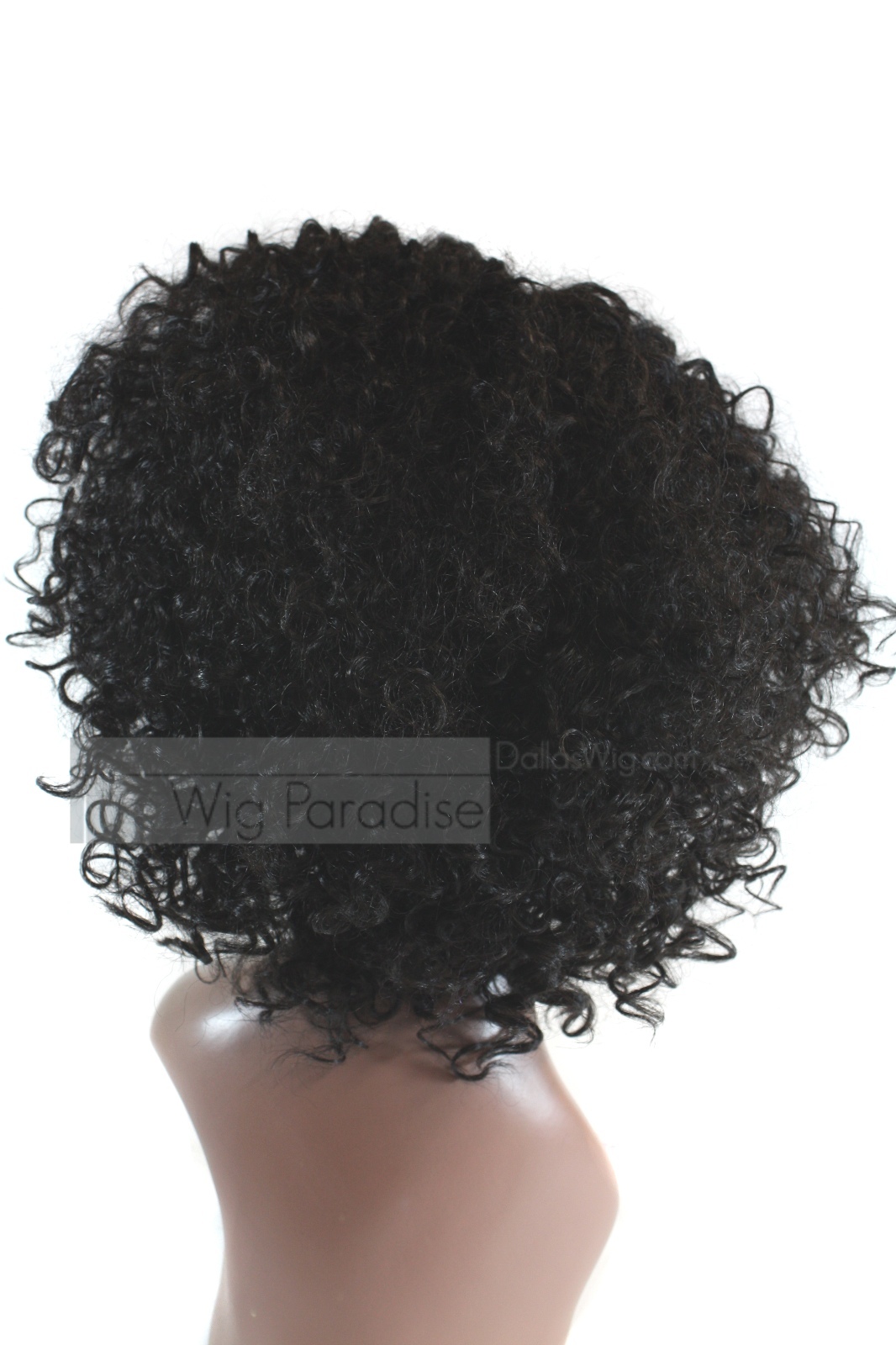 Femi Collection Full Curly Heat Resistant Deep Part Tina Lace Front Wig
