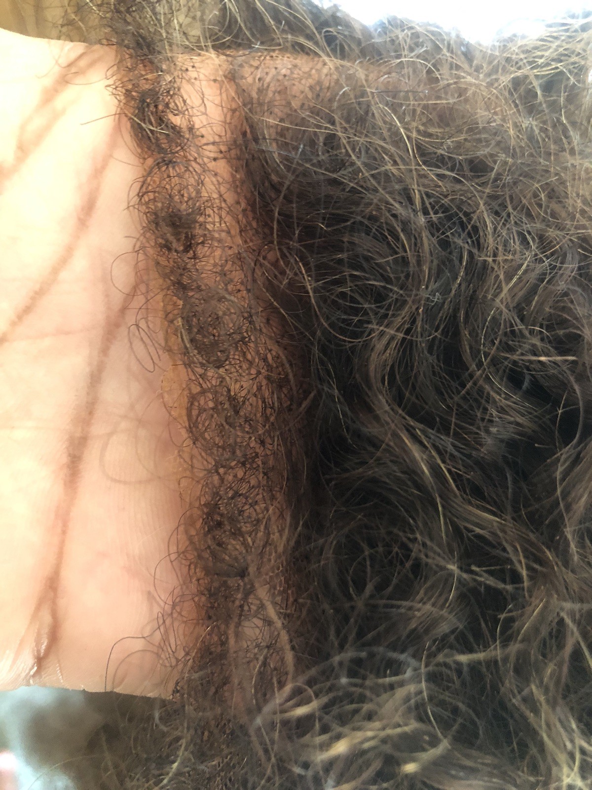 Glueless Balayage Highlight 4C Edges Curly Wig 13×6 Full HD Lace Pre Plucked