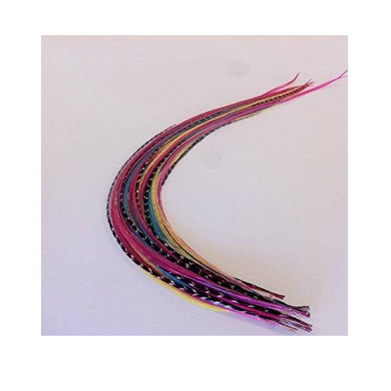 7-10 inch Yellow, Pink, Blue, Grizzly 100% Real Hair 5 Feather Extensions bonded