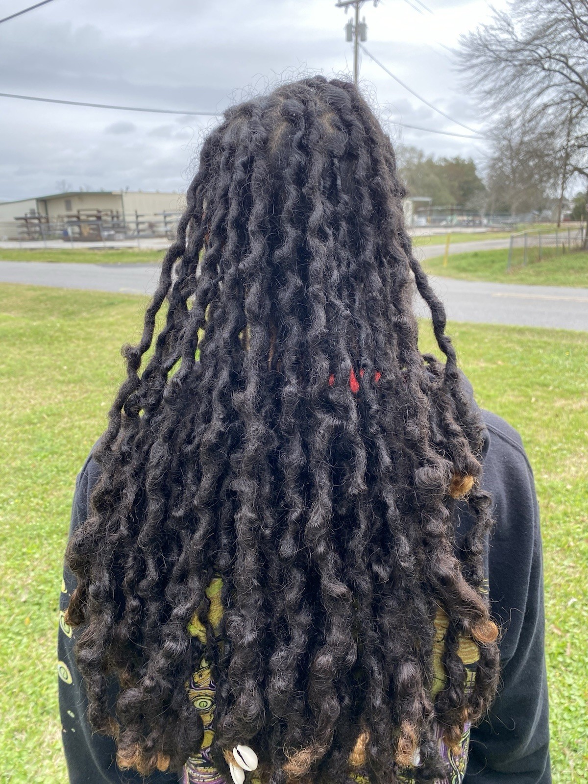 Human Hair Dreadlocks 100% Real 16-19” In Length