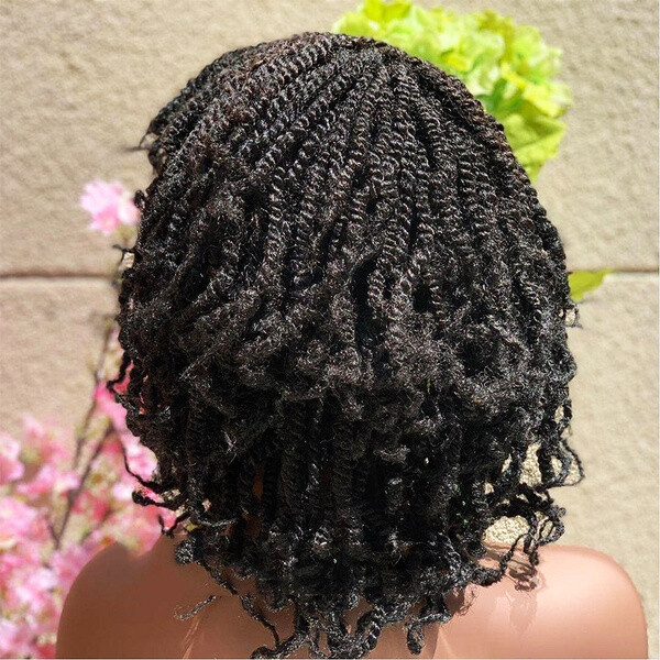 Twisted Braid Hair Afro Kinky Curly Wig Crochet Twist Braided Natural Soft Hair