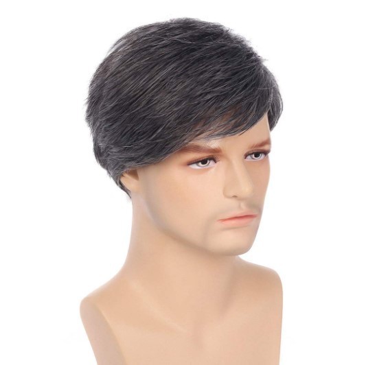 Short Men’s Male Daily Wear Hair Full Wig Black Grey Men’s Wigs+Wig Cap