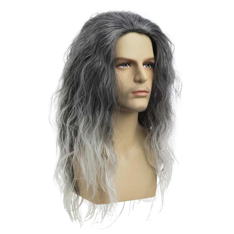 Baruisi Long Curly Wavy Grey Wigs for Men Synthetic Natural Party Halloween C