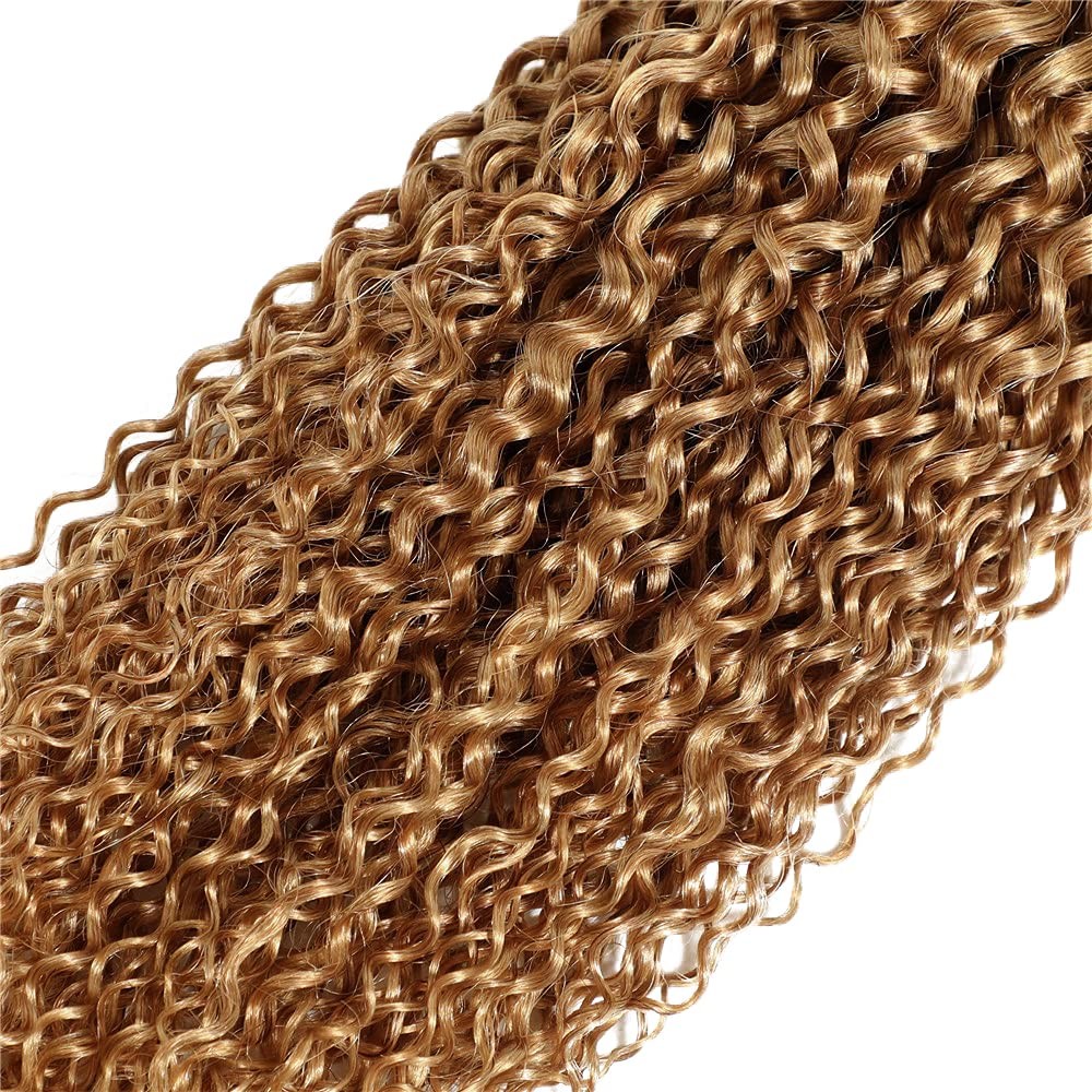 Niegmeag 1B/27 Omber Blonde Kinky Curly Bundles Human Hair Doubles Weft