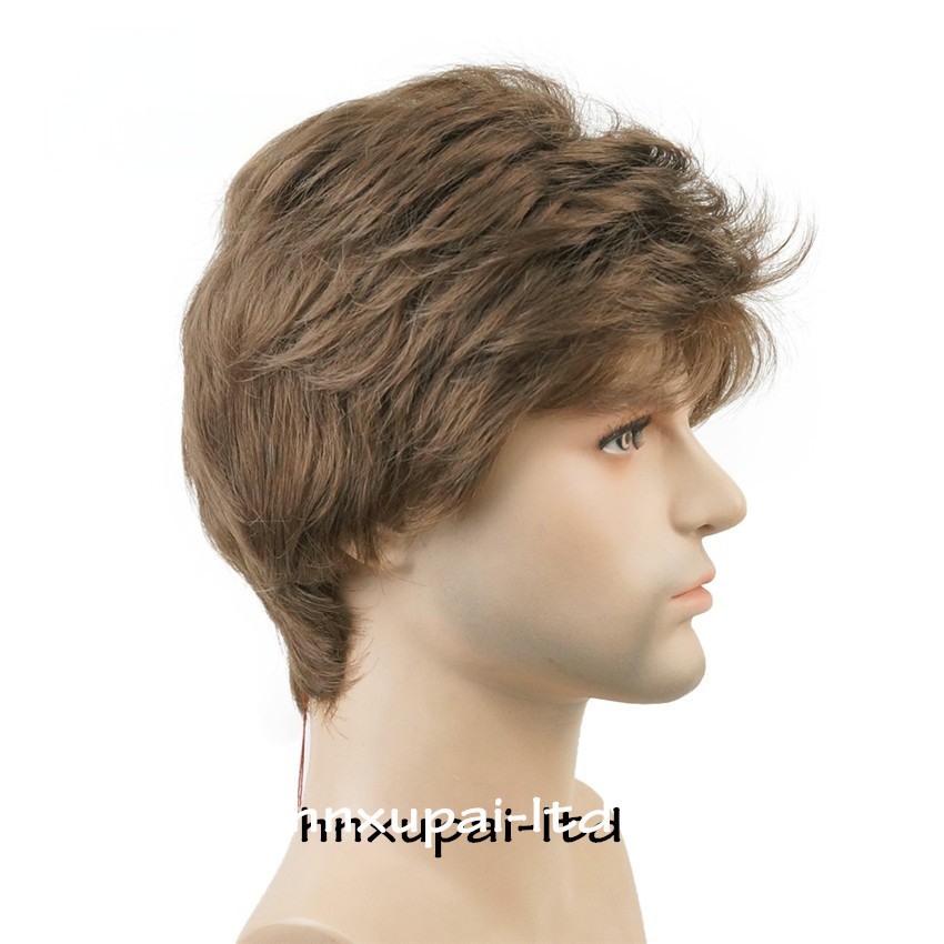 Men’s Black Men Wig Short Full Wigs Little Wavy Synthetic Straight Hair Daily US