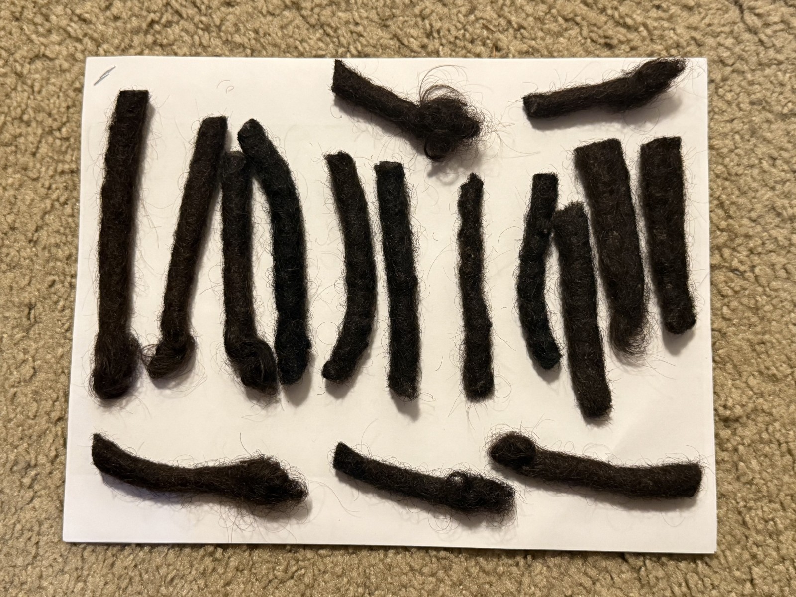 46 human hair dreadlocks recently cut