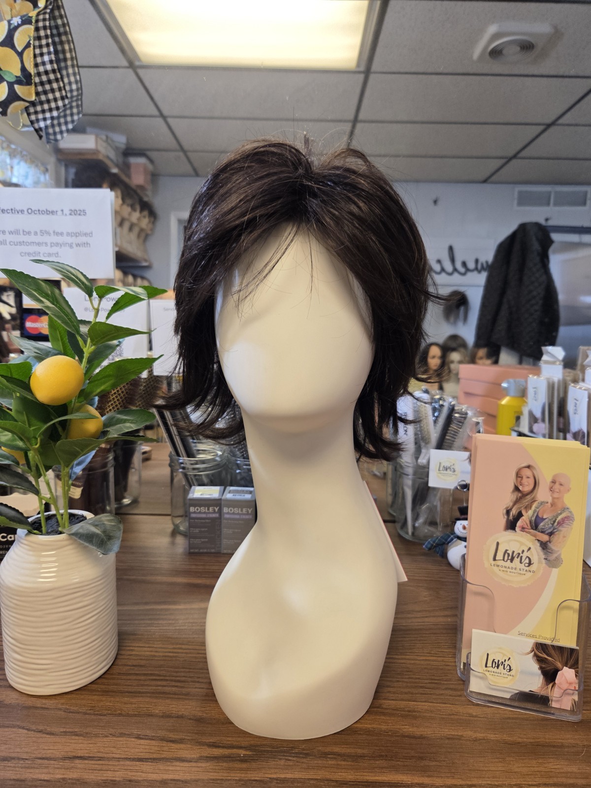 NWT Razor Cut Shag by Tressallure (Open Box) in the color 4/6R