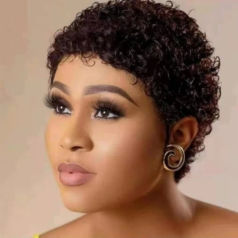 Black Wigs Afro Curly Pixie Cut Wigs 100% Human Hair Affordable Wig