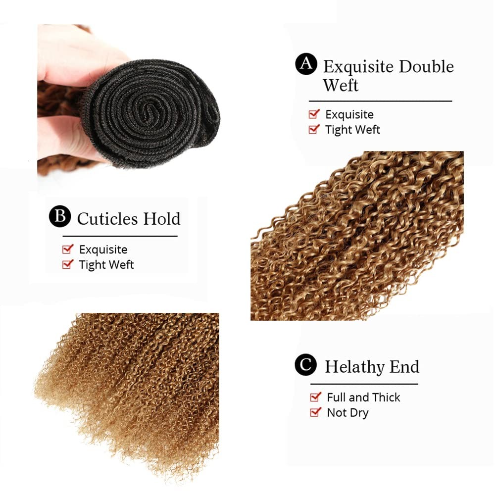 Niegmeag 1B/27 Omber Blonde Kinky Curly Bundles Human Hair Doubles Weft