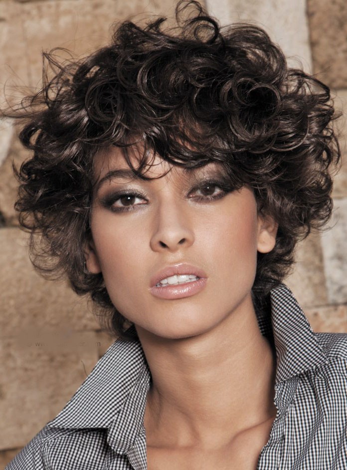 Short Fluffy Curly Afro Natural Brown Synthetic Hair Wigs for Black Women Daily