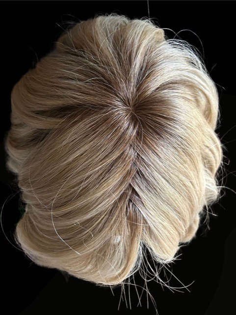Raquel Welch Editor’s Pick | Synthetic Lace Front Wig (Mono Top) RL19/23SS 🙏