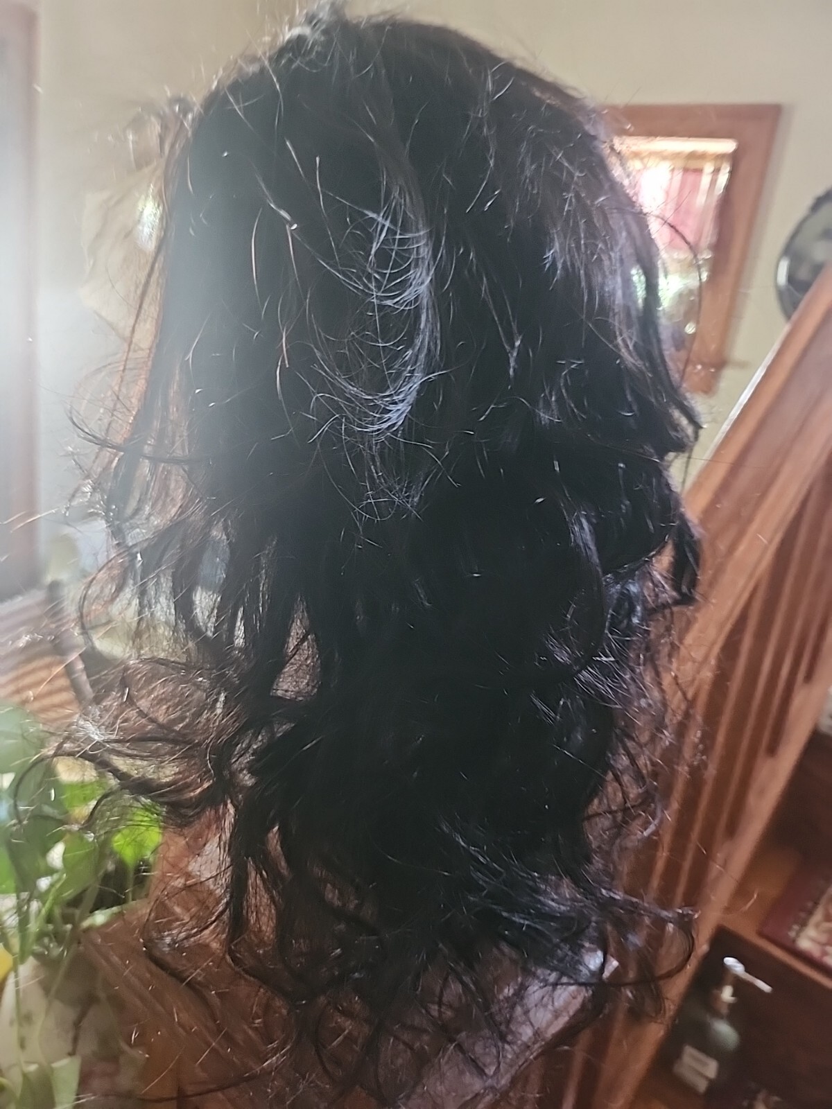 Beautiful Life Human Hair Wig NWOT