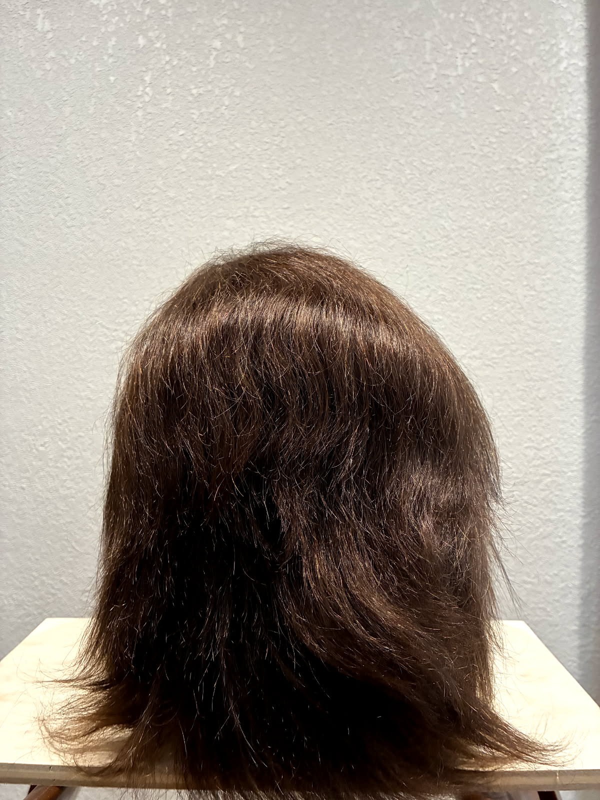 Medium Layered Capless Mono Top Lace Front Wig real hair
