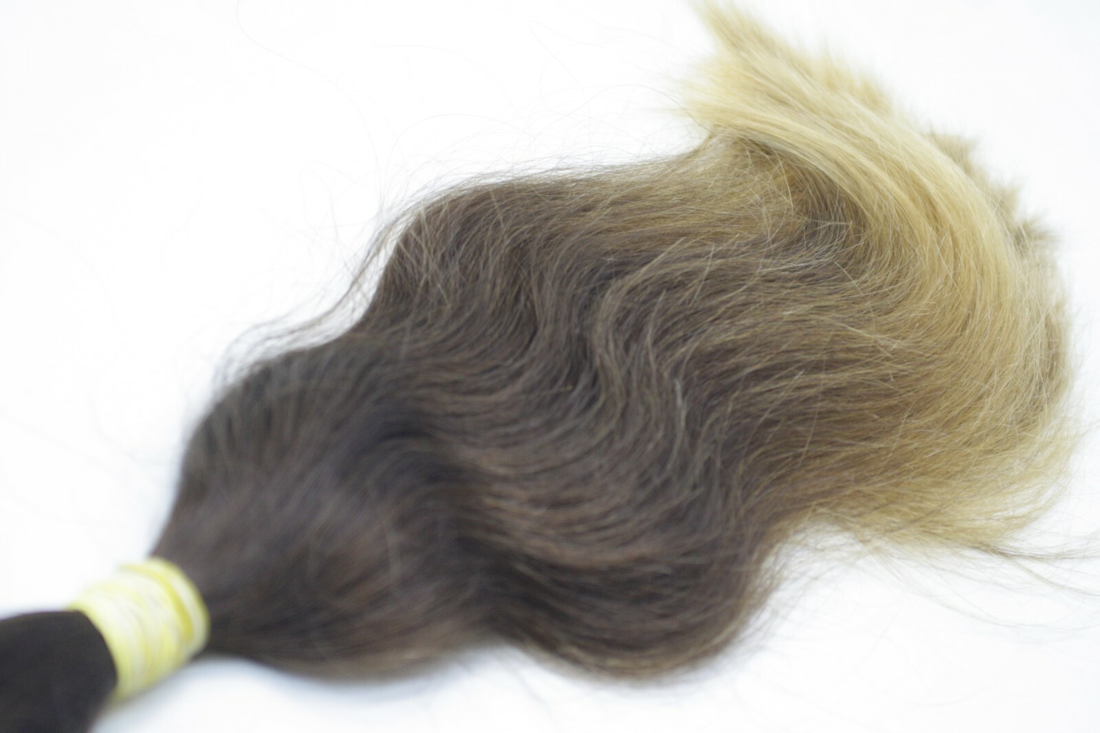 Russian Ukrainian Slavic Hair Extension + bleached ends 42cm/16,5″; 122gr/4,3oz