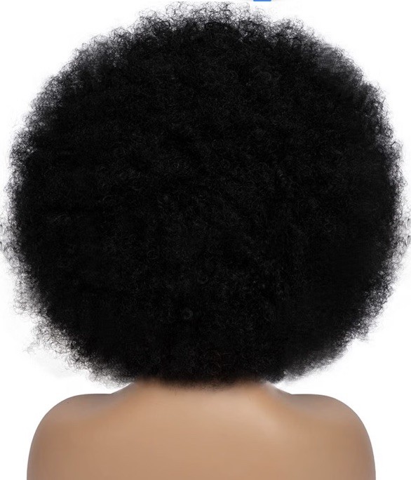 WOMEN’S WOMAN AFRO WIG 70S HALLOWEEN COSTUME 10 “