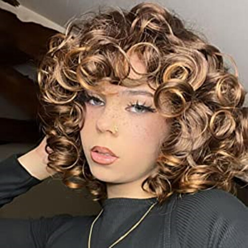Curly Wigs for Black Women Short Big Curly Kinky Wigs for Women Afro Wavy Mixed
