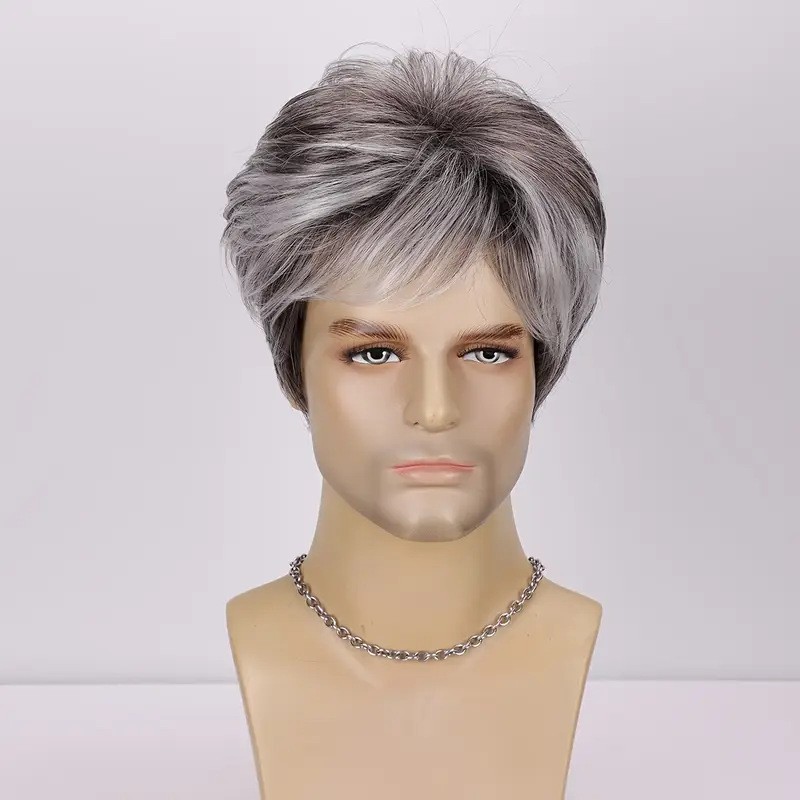 Fashion Light Gray Short Synthetic Hair Wig for Men Daily Wear for Middle Aged