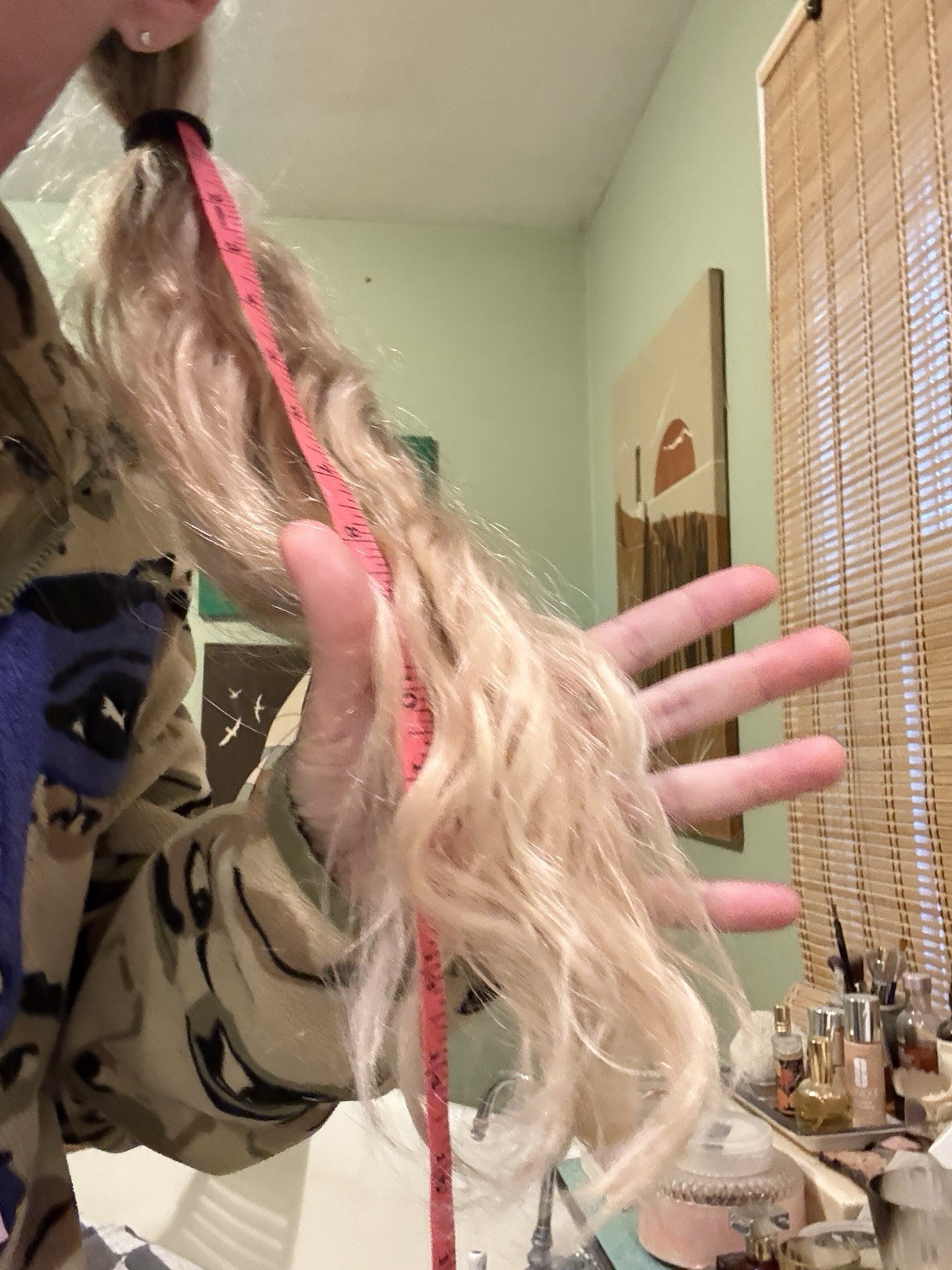Real Human Hair Will Cut Ponytail 12-14 Inch Long X 4” Thick Natural Blonde Wavy