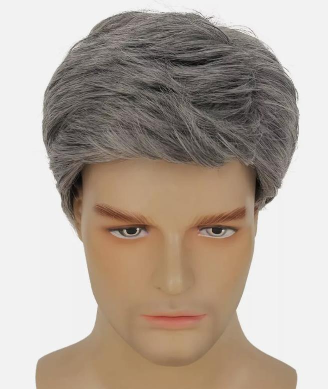 Men’s Grey Short Wig Heat Resistant Natural Male Cosplay Daily Hair Wigs
