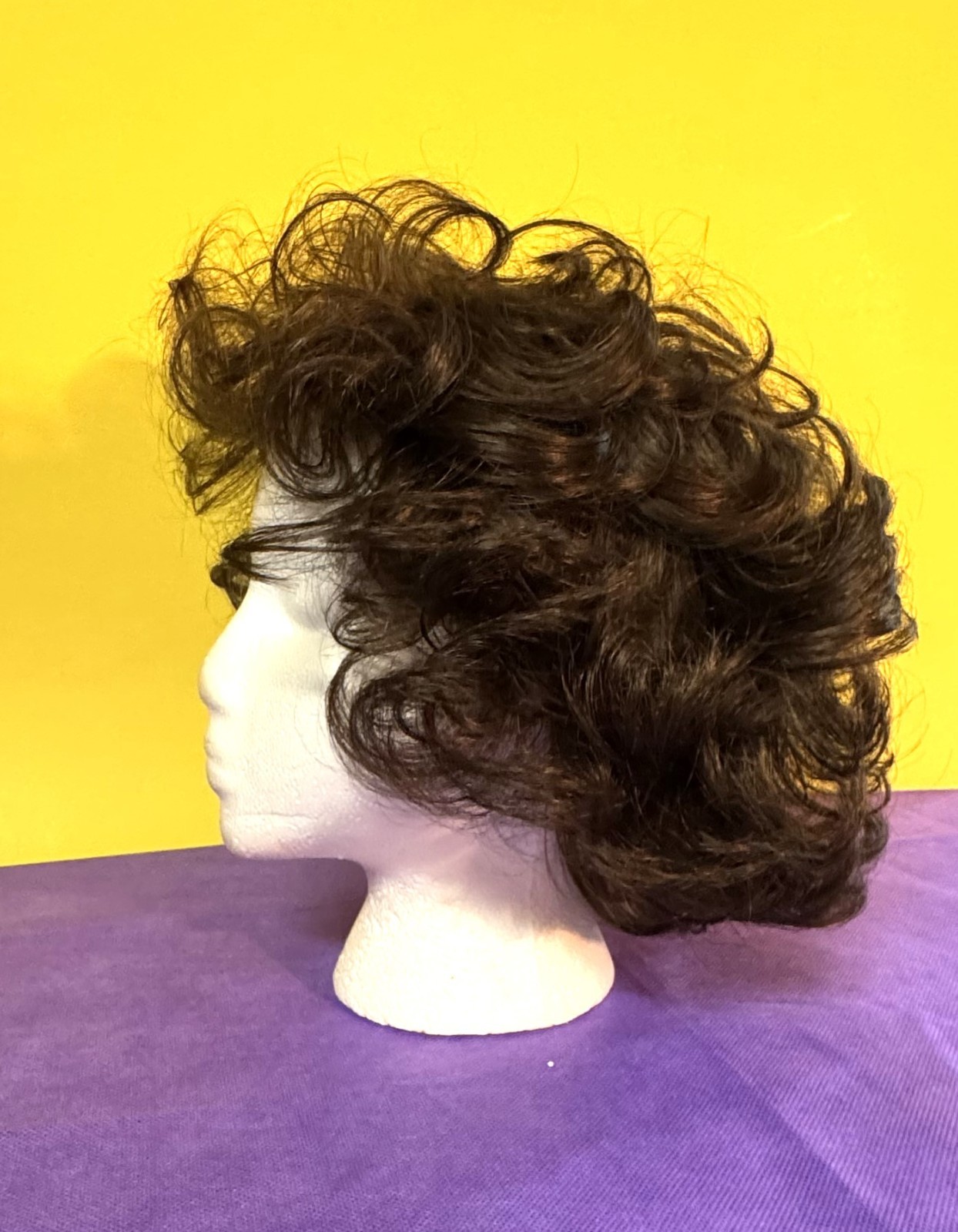 Paula Young A2412 Brunette Wig – Average 8 (Preowned)