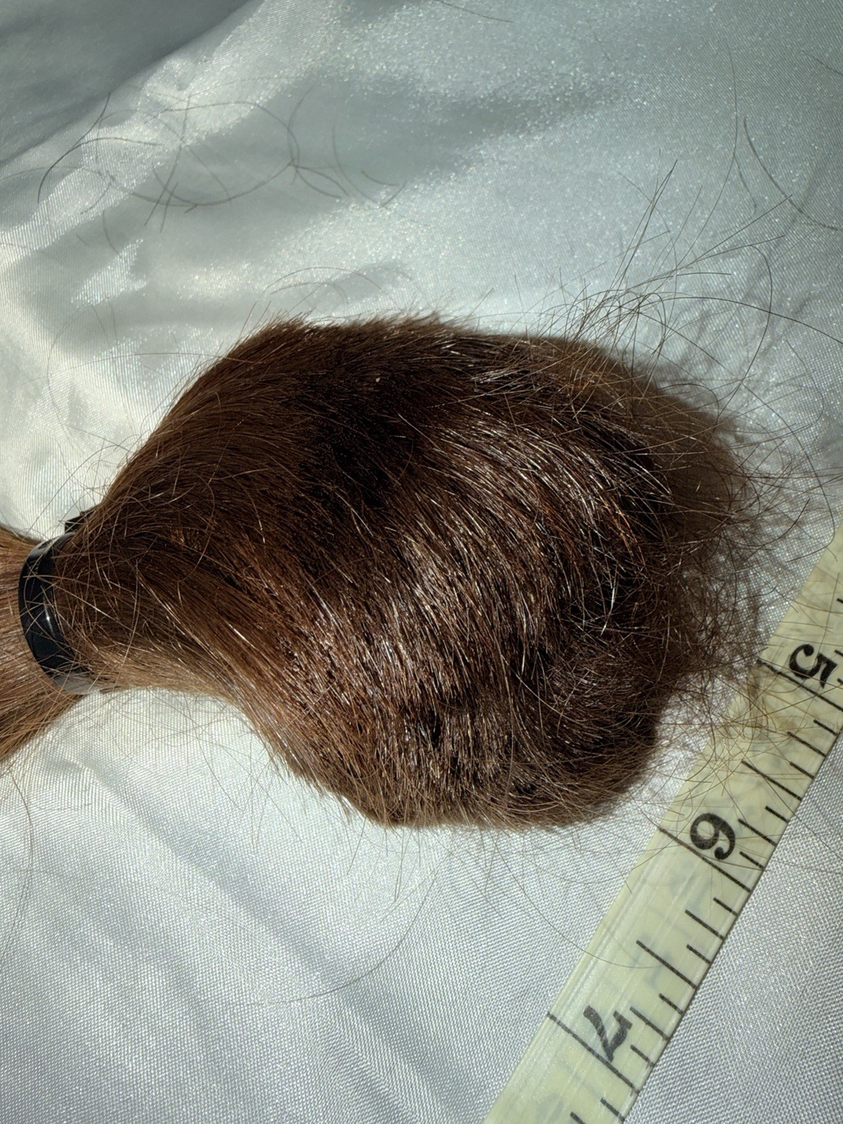 12 Inch, 69g Beautiful Human Hair Cut Ponytail, Fresh From Salon Single Donor. 4