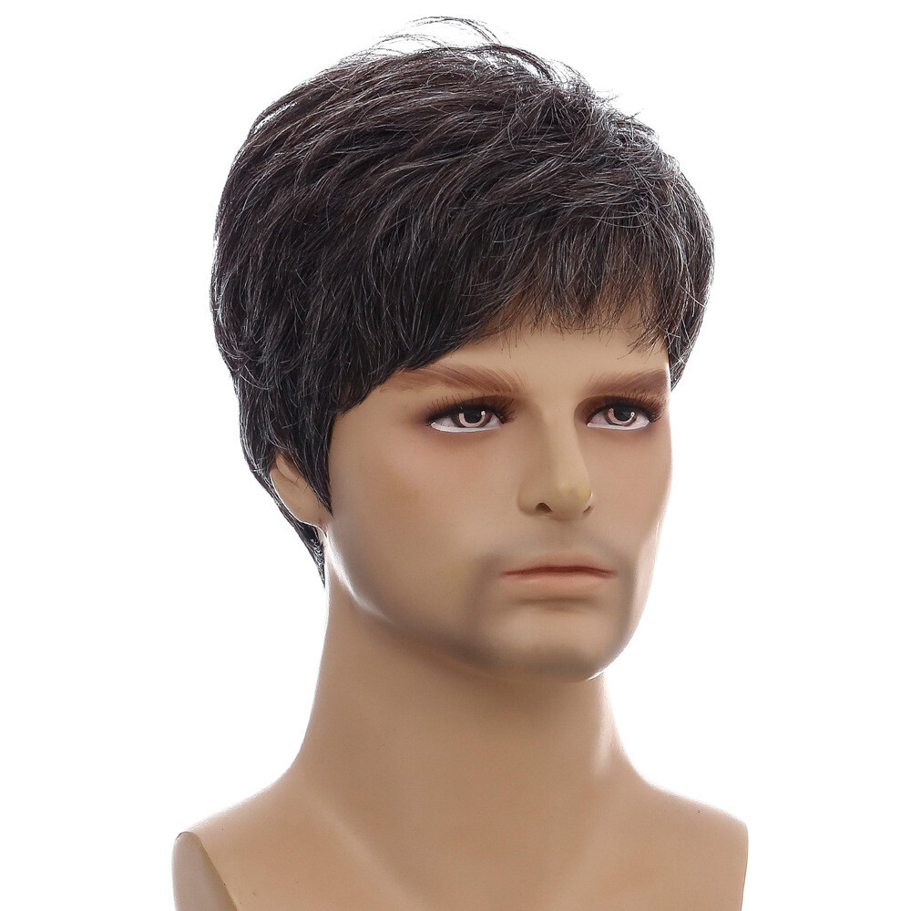 Men Short Black Brown Hair Synthetic Daily Natural Cosplay Wigs Party Costume US