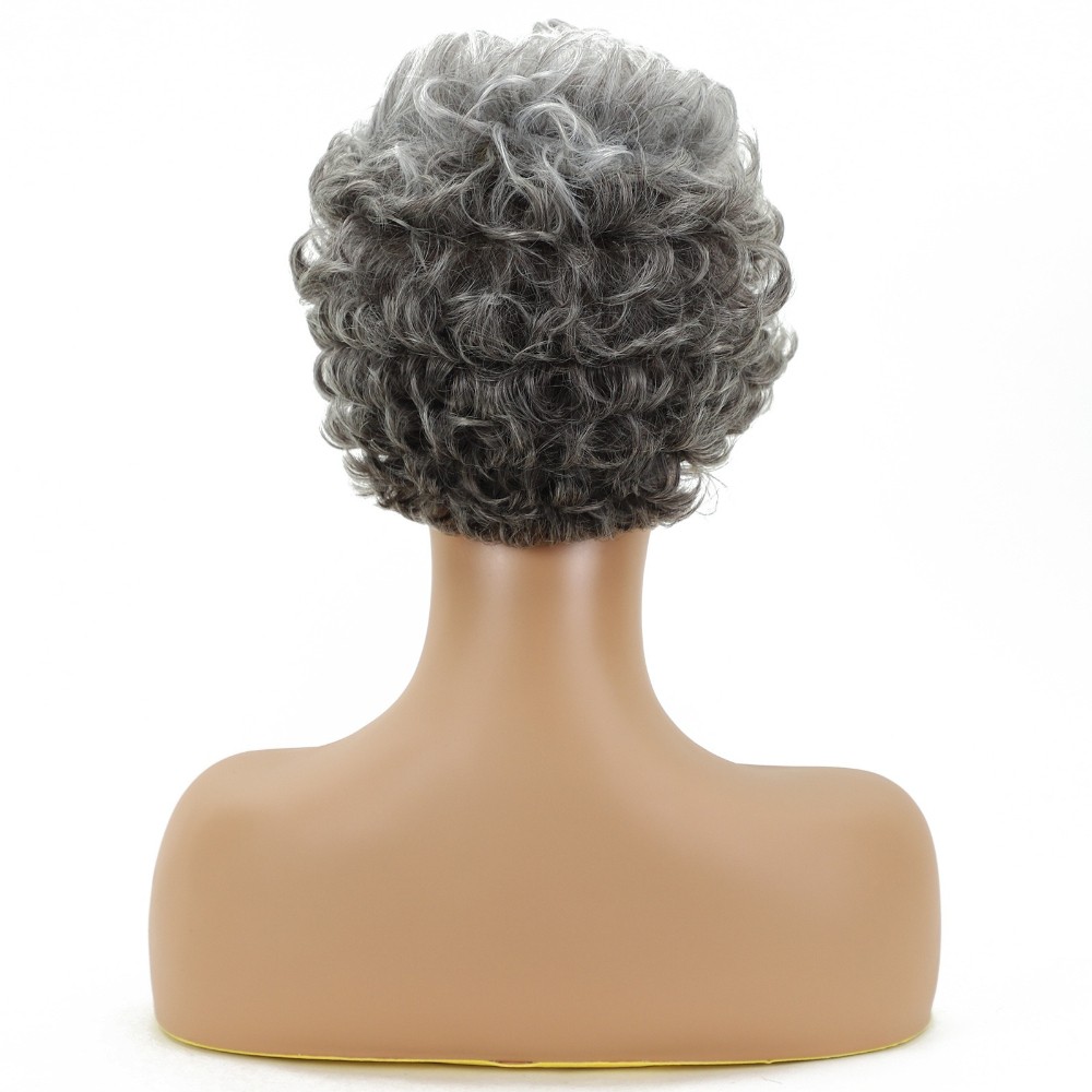 Women’s Short Curly Silver Gray Wig Heat Resistant Synthetic Full Daily Wear