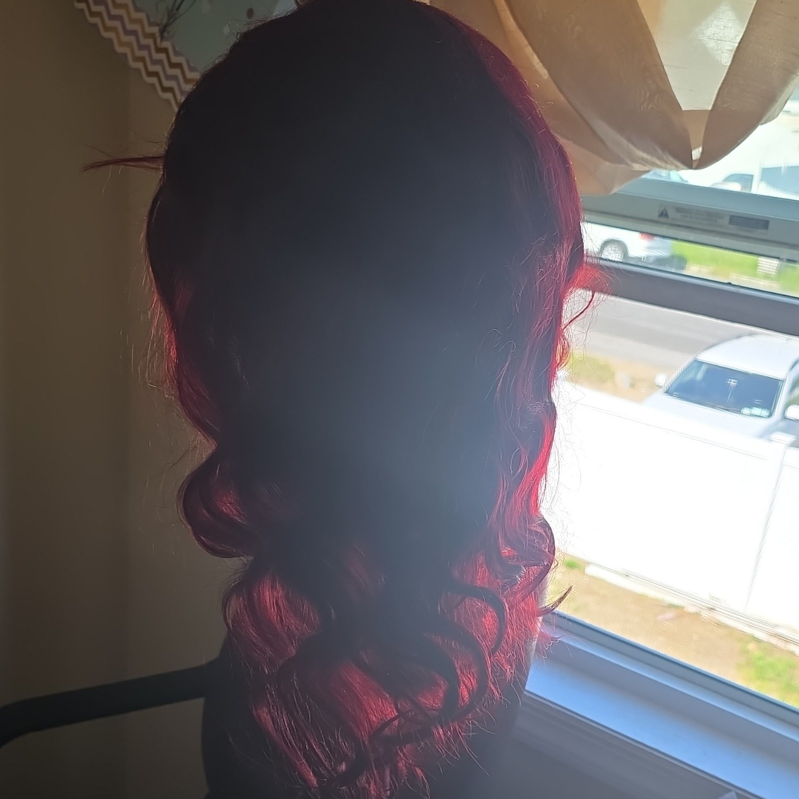 22in Burgundy Red Body Wave Human Hair Wig 13×4 Lace Front 210% Density