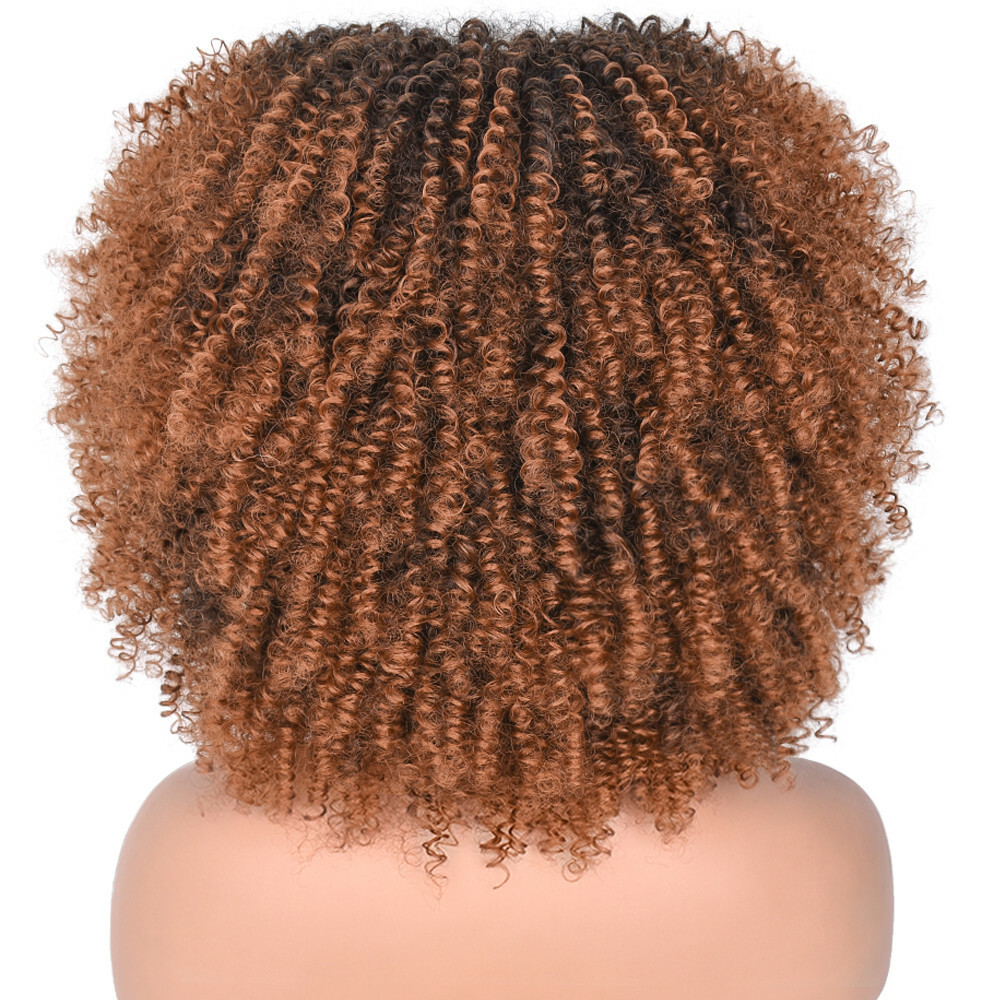 Curly Wigs for Black Women Afro Wig with Bangs Ombre Brown Wig Short Curly Afro