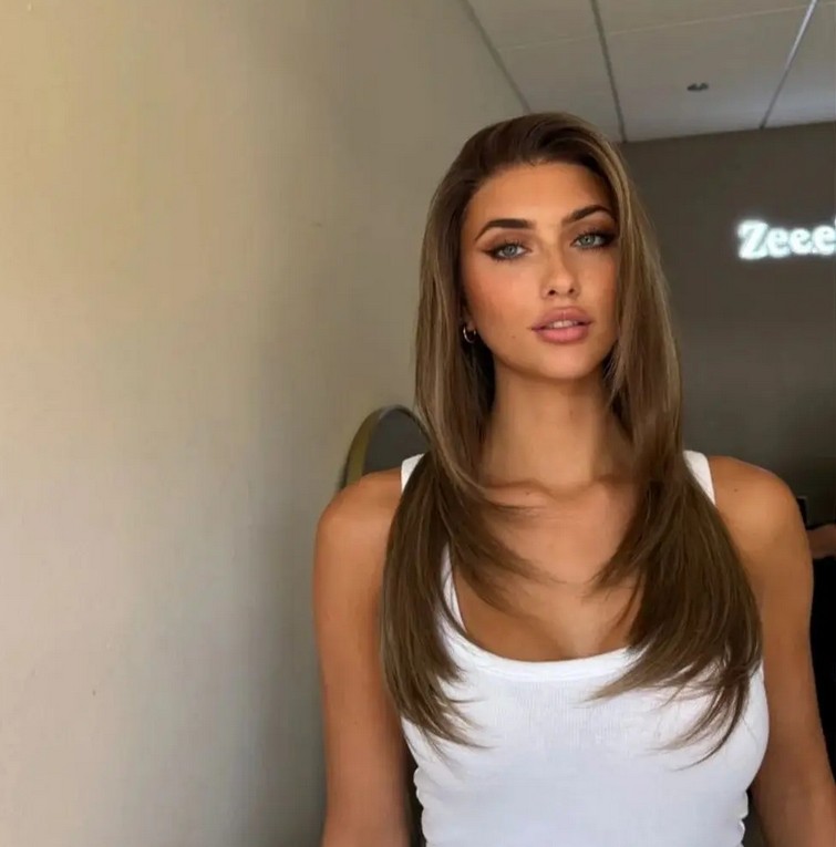 24Inch Layered Ombre Brown Wig 13×4 Lace Front Wig 100% Human Hair Wig