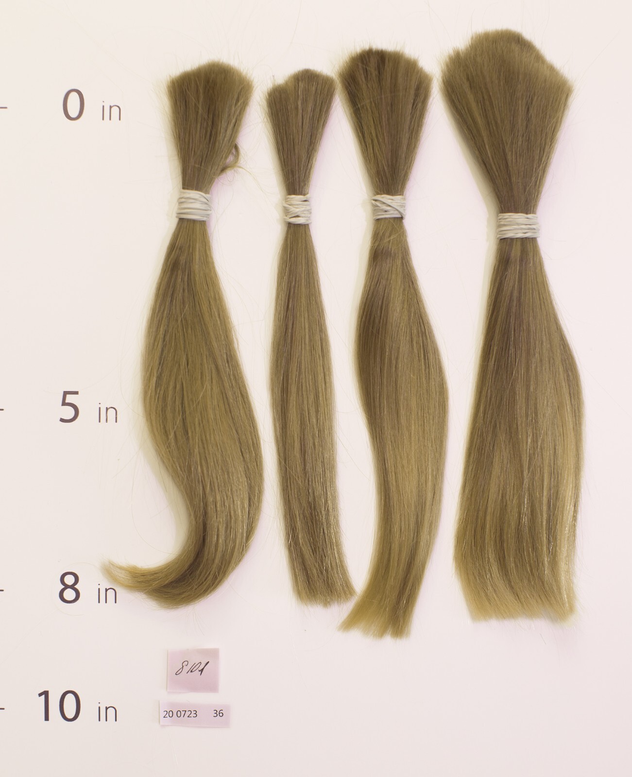 European hair, cut hair, raw hair, Light Blonde/Natural Ash Pure 8”-10”,virgin