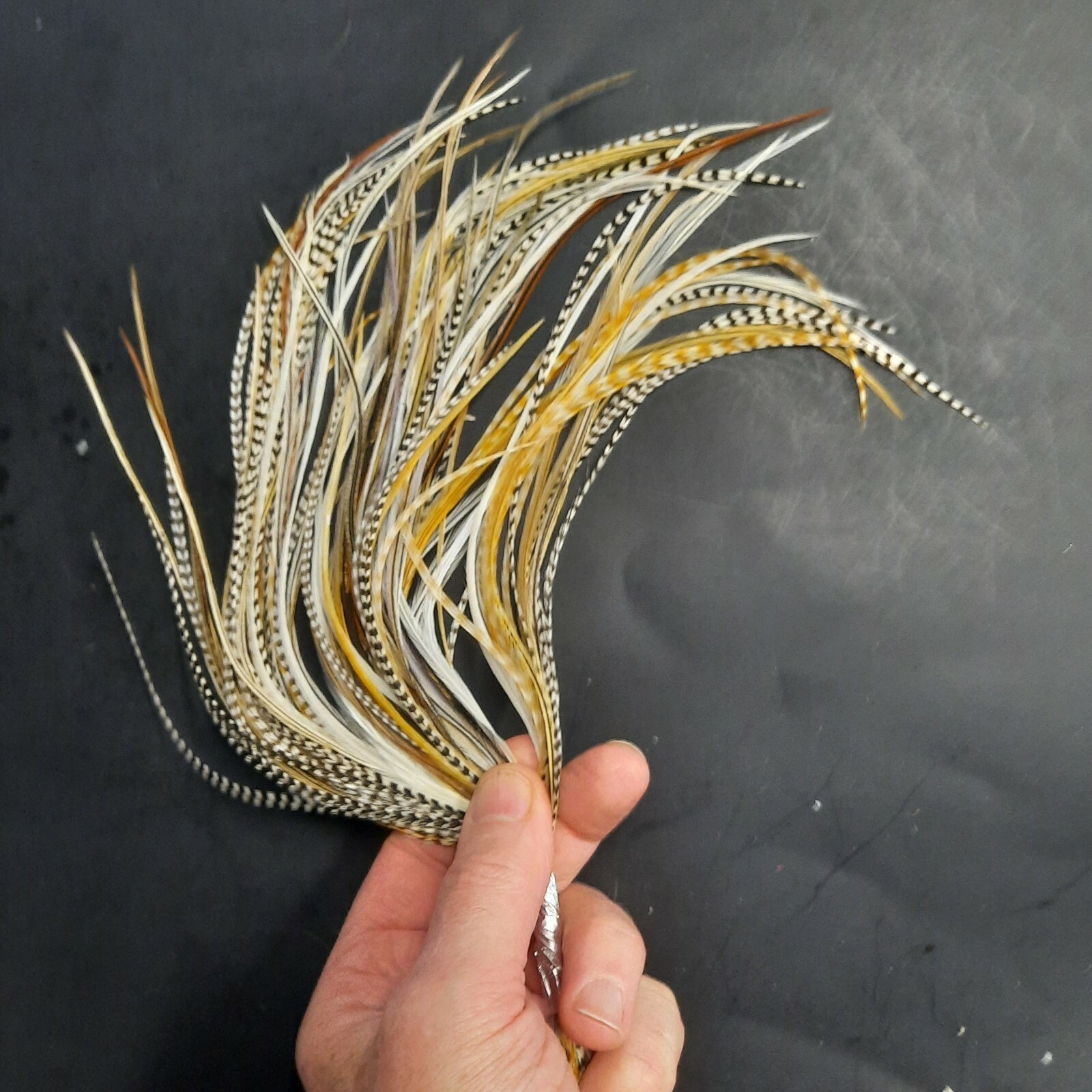 100 6 – 9+” Whiting Grizzly MIX ROOSTER SADDLE FEATHERS FOR HAIR EXTENSIONS