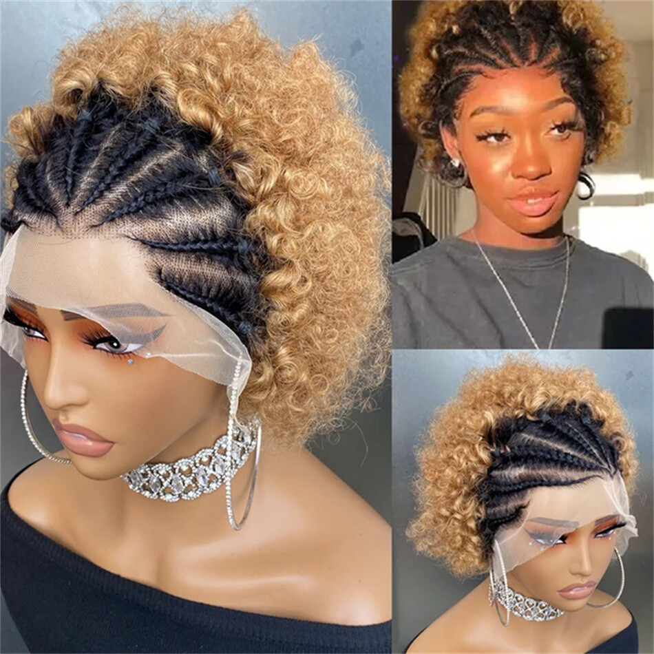Afro Kinky Curly 13X4 Lace Front Wig 200% Density Human Hair Wig