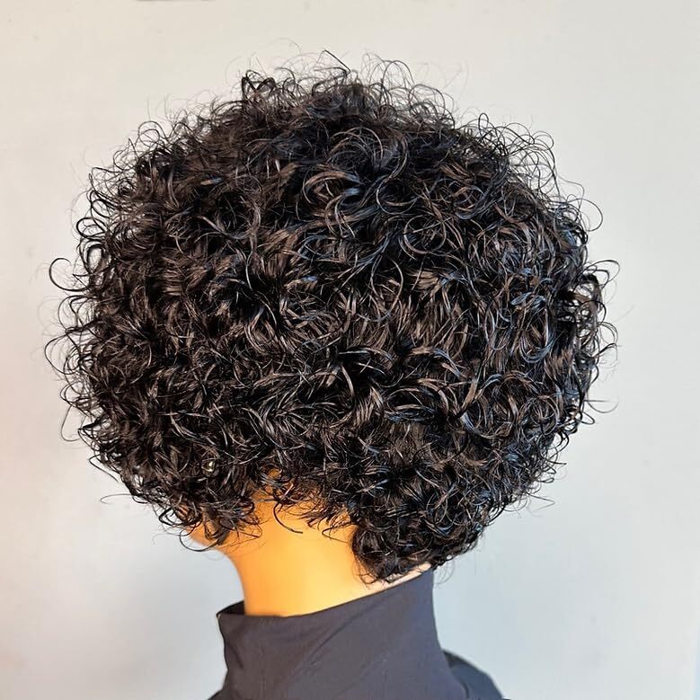 Kinky Curly Real Human Hair Wigs for Women Pixie Cut Wigs for Black Women 6inch