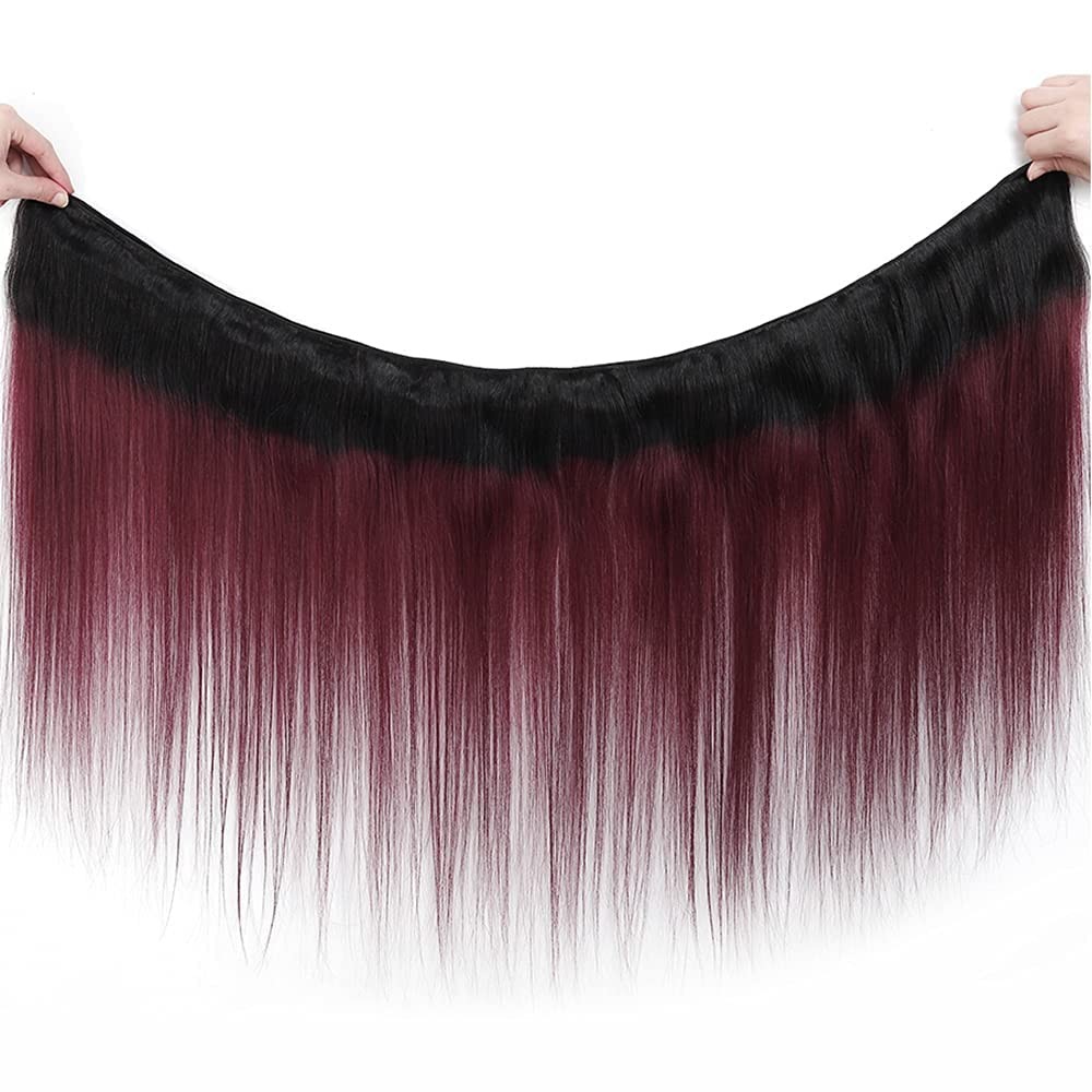 Aikebi Brazilian Human Hair Bundles 18 20 22 Inch Burgundy T1B/99J Straight