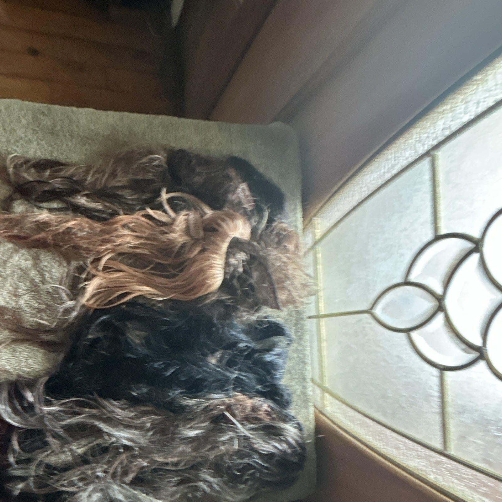 Clip-In Wavy Synthetic Hair Extension 21-30 in Mixed Brown & Golden Blond